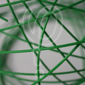 phi-green1-02